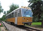 NÖVOG VT8 60  Jahre Diesellok 2095 (18)